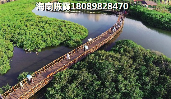 淄博什么景点免费开放