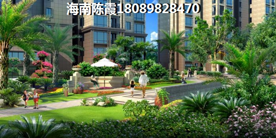 购房者为什么看好海南未来前景？