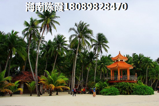宾县旅游景点